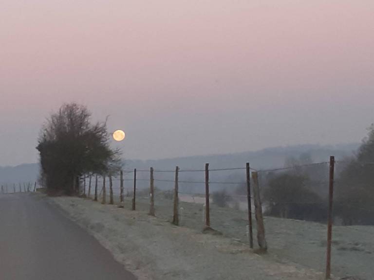 img_20190121_154434_486