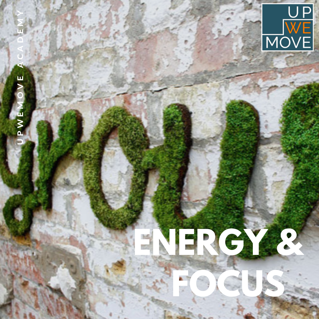 energy-focus